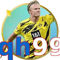 qh99